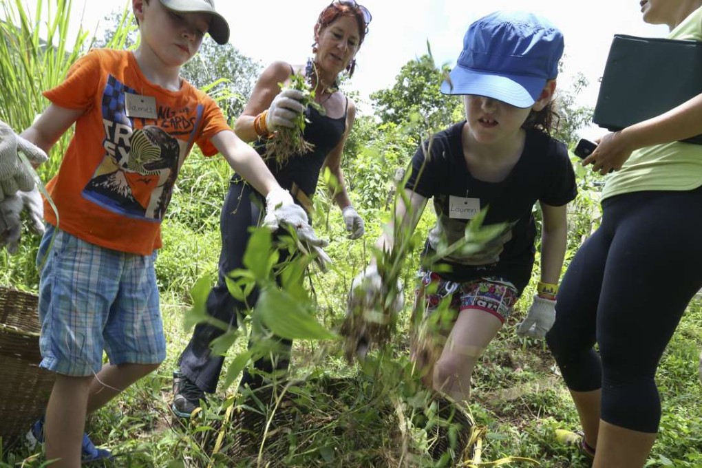 Children collect ingredients for composting at the Ark Eden farm in Mui Wo, Lantau. Photo: Nora Tam