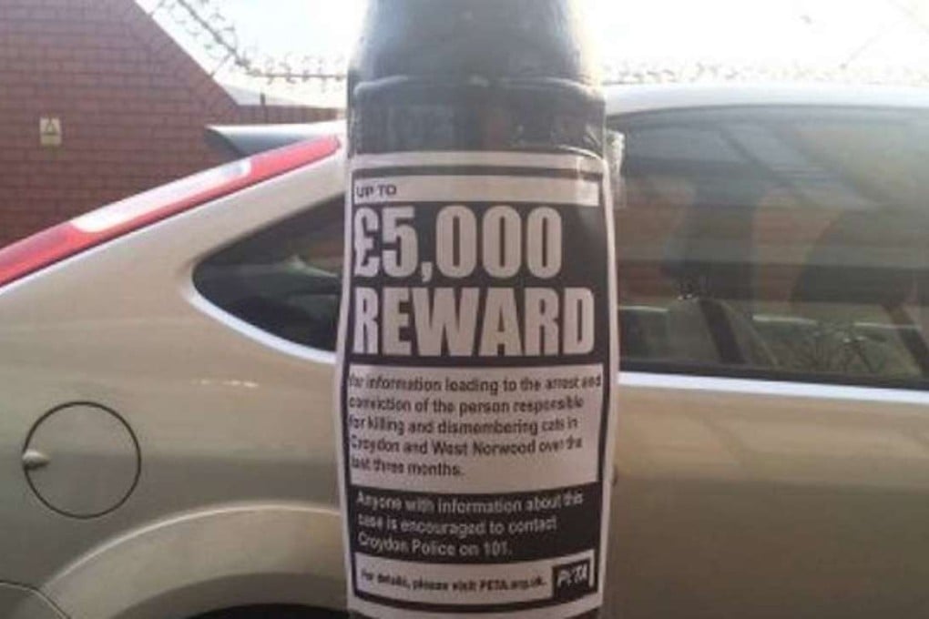 A reward poster seeks information on the so-called “cat ripper”, with animal rights group Peta offering a GBP5,000 reward. Photo: Victoria’s List