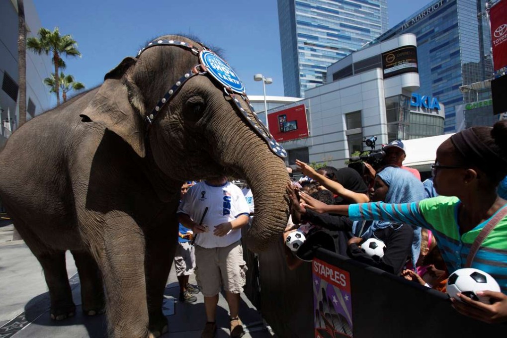 An elephant from Ringling Bros and Barnum & Bailey circus. Photo: Reuters