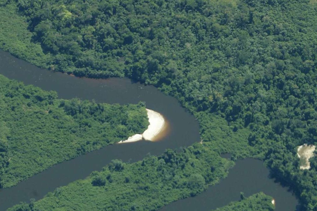 Developing countries like Brazil struggle with environmental protection. Photo: Reuters