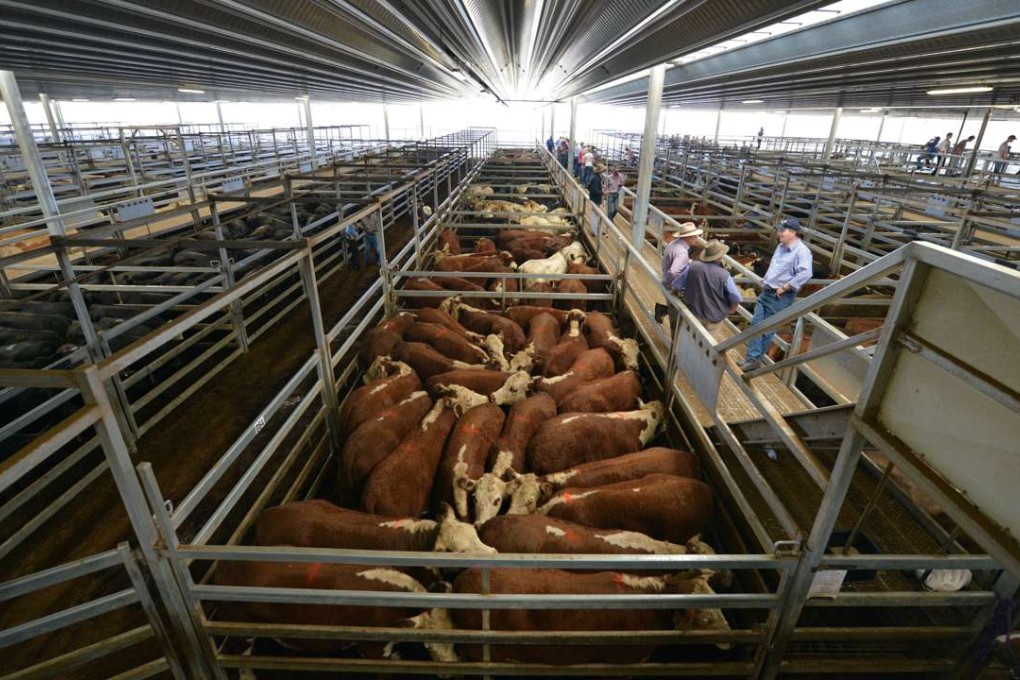 Farmers attend a weekly livestock sale near the town of Carcoar in New South Wales, Australia. Photo: Reuters