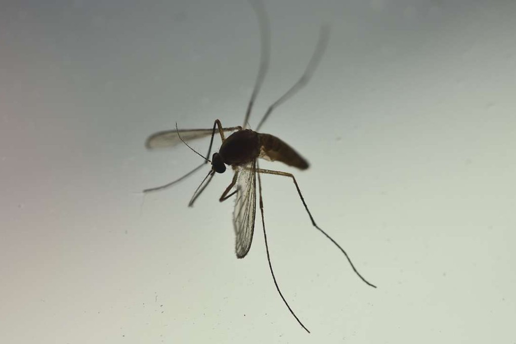 The patient travelled to Sao Paulo from March 27 to Saturday last week. Photo: AFP