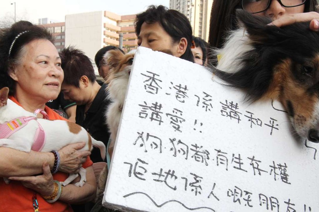 A group of dog owners in a Hong Kong housing estate protesting against a ban on keeping pets. Photo: SCMP Pictures