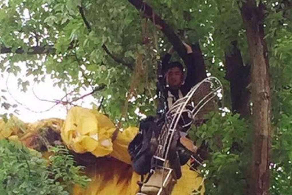 The would-be Romeo stuck up a tree with his paraglider. Photo: People.cn