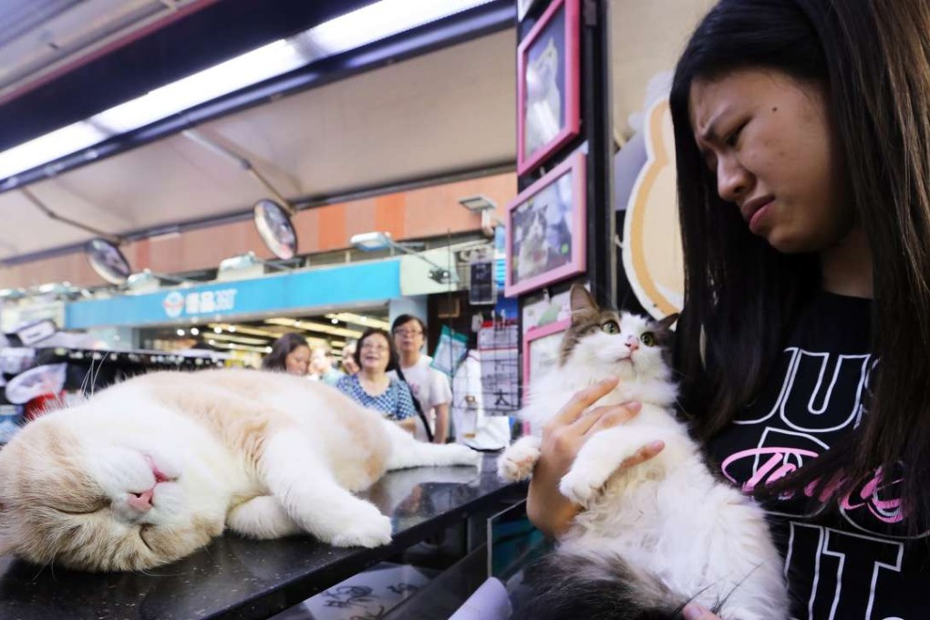 Midori Bai Sui visited Brother Cream with her cat. Photo: Felix Wong