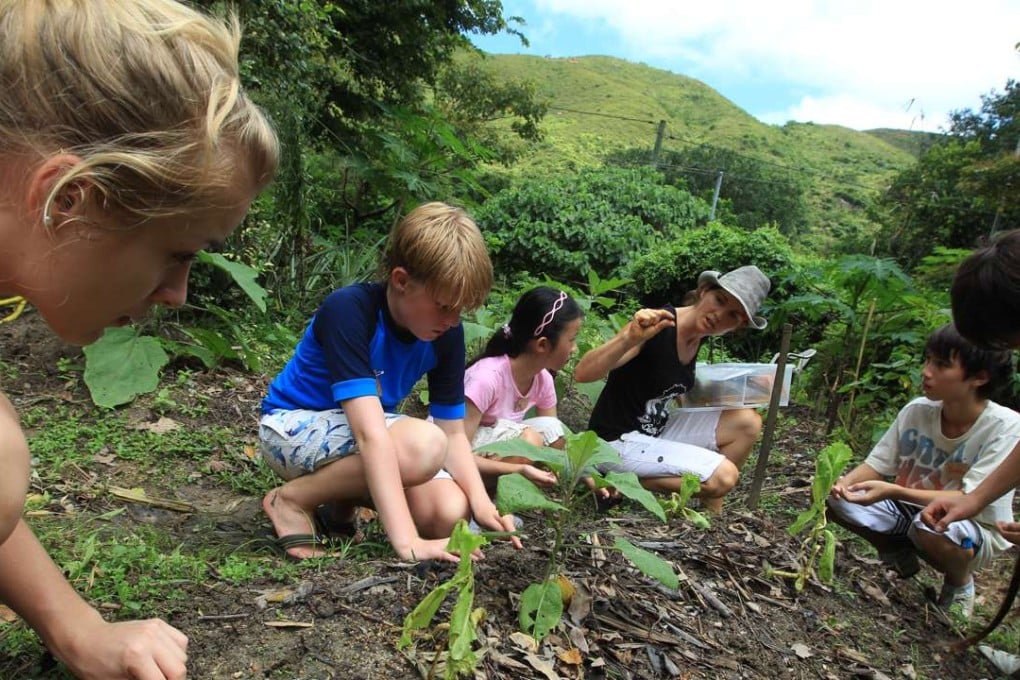 Children learn about plants at the Ark Eden summer programme and day camp in Mui Wo, Lantau.