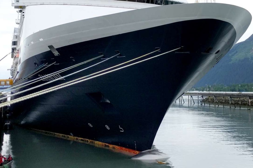 A whale carcass hangs off the bow of a cruise ship at a port in Seward, Alaska on Sunday. Photo: Matt Faust via AP