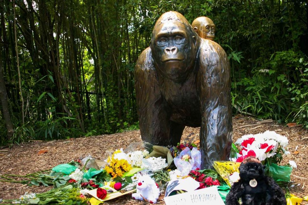 Flowers and other tribute lay around a bronze statue of a gorilla and her baby outside the Cincinnati Zoo's Gorilla World exhibit on Monday, two days after a boy tumbled into its moat and officials were forced to kill Harambe, a Western lowland gorill. Photo: Reuters