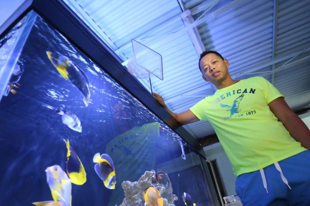 Yu Ho-chi with his aquarium of Clarion angelfish and other reef species at his home in Sai Kung. Photo: May Tse
