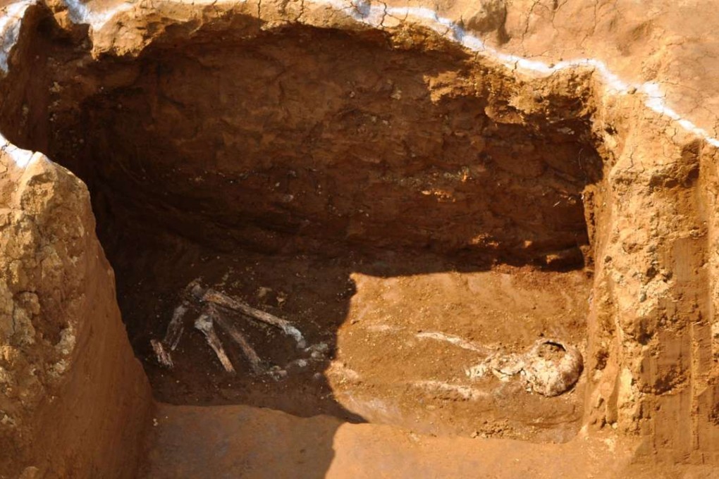 A set of human bones unearthed from a land in Tokyo. Researchers have confirmed that the remains are likely those belonging to Giovanni Battista Sidotti. Photo: AFP
