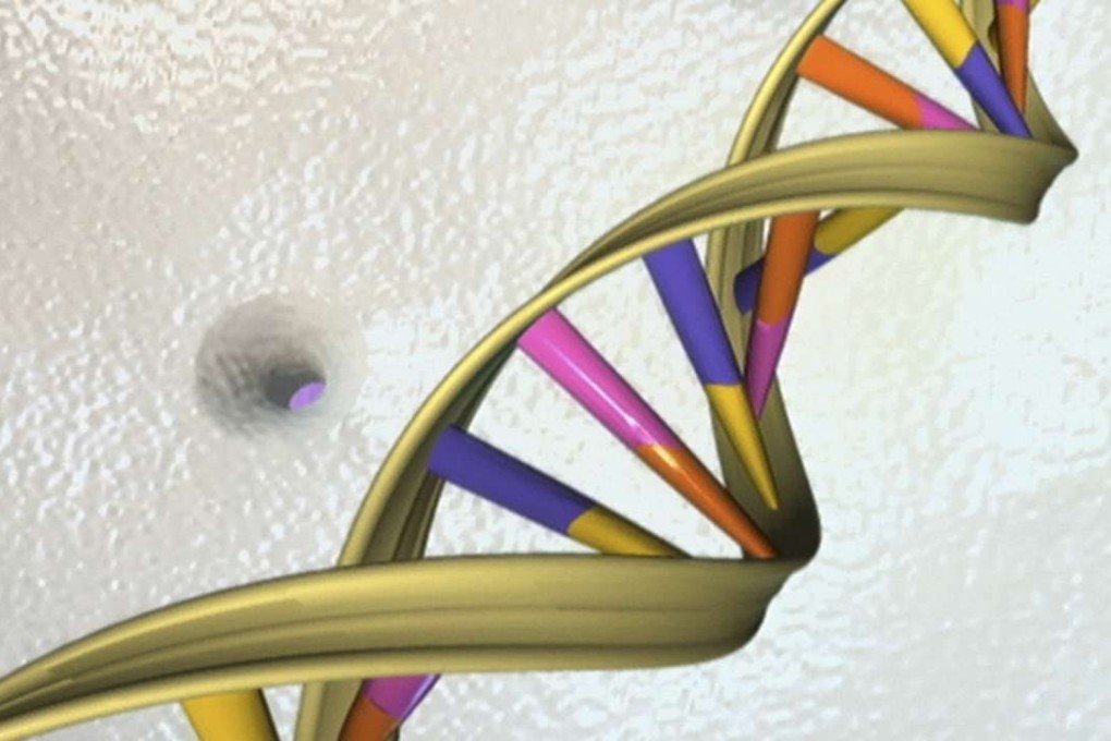 A DNA double helix is seen in an undated artist's illustration by the National Human Genome Research Institute . A group of 25 scientists on Thursday proposed an ambitious project to create a synthetic human genome. Photo: Reuters