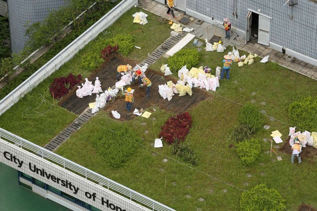 Workers remove vegetation on a rooftop at City University, following the collapse of a green roof at its sports centre. Photo: Sam Tsang