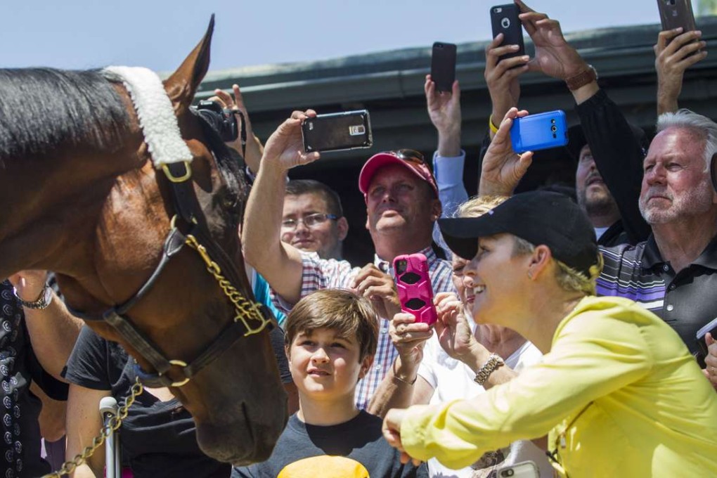Triple Crown winner American Pharoah put the sport of kings back in the spotlight with his exploits in 2015. Photo: AP