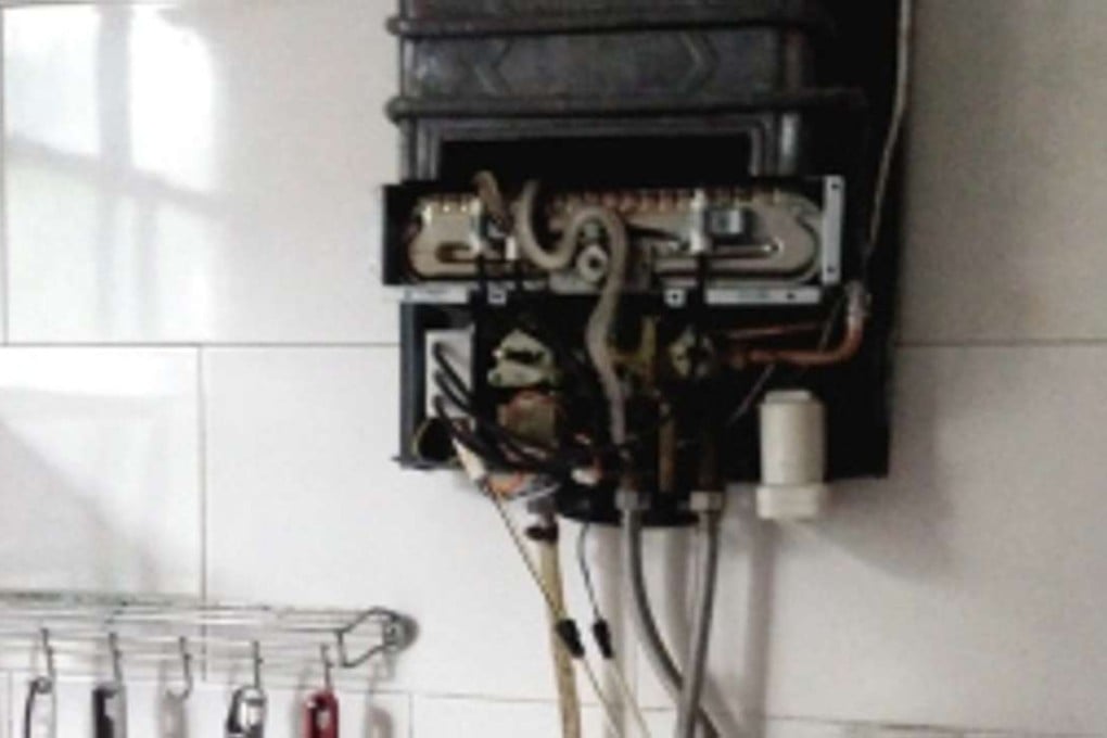 The man was checking his malfunctioning heater when he found a dead snake inside. Photo: Chongqing Times