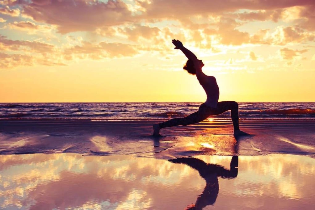 The Goddess Pose explores how yoga came to occupy the position it does in the West.