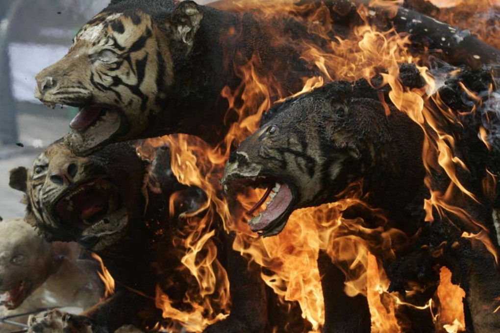 Indonesia plans to increase maximum sentences for poaching and trading protected animals from five years to 20 years. Photo: Xinhua