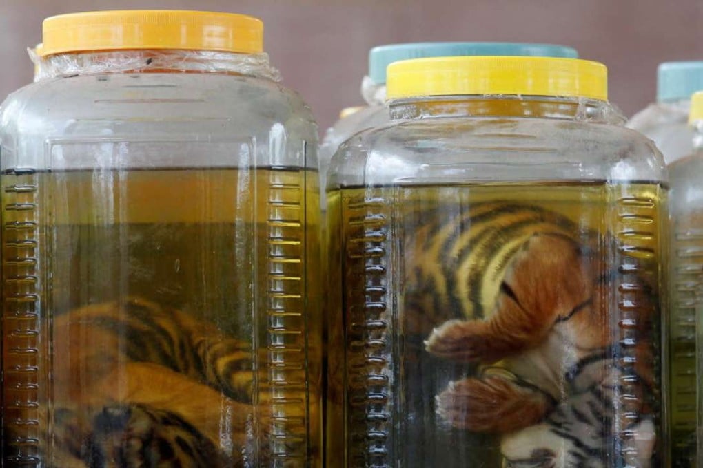 Tiger cub carcasses at the Tiger Temple in Kanchanaburi province, Thailand. Photo: Reuters