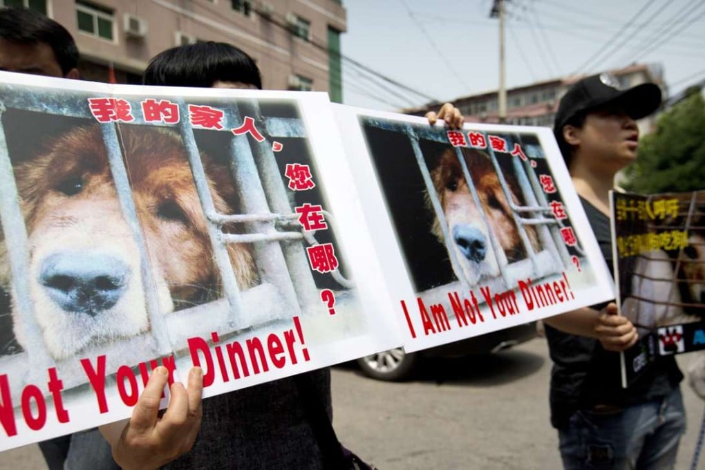 Animal rights advocates protest outside the Yulin government office in Beijing against the city’s annual dog meat festival on Friday. Photo: AP