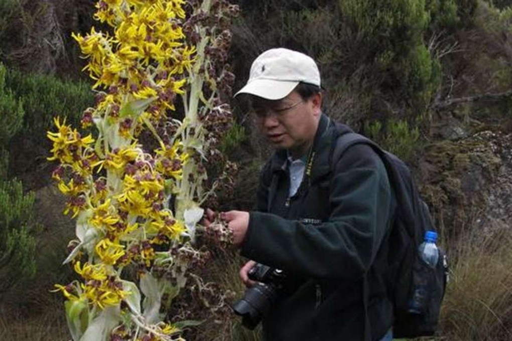 Professor Wang Qingfeng during his scientific expedition to Africa. Photo: Wuhan Botanical Garden