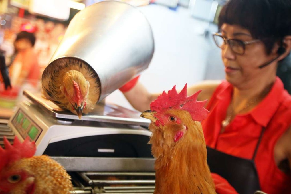 The Food and Environmental Health Department is carrying out a study into the sale of live chickens in wet markets. Photo: David Wong