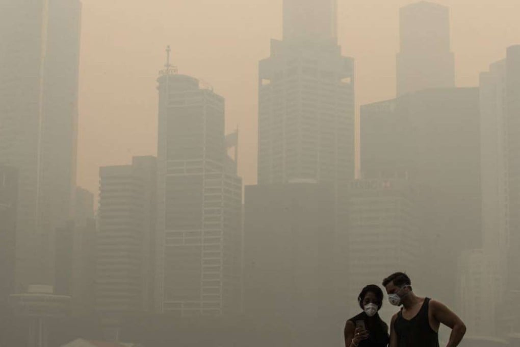 Singapore, often among the worst hit by haze from forest fires that periodically envelope swathes of Southeast Asia for weeks at a time, enacted the 2014 law to address the pollution as Indonesia struggles to prevent the flares. Photo: Singapore ORG