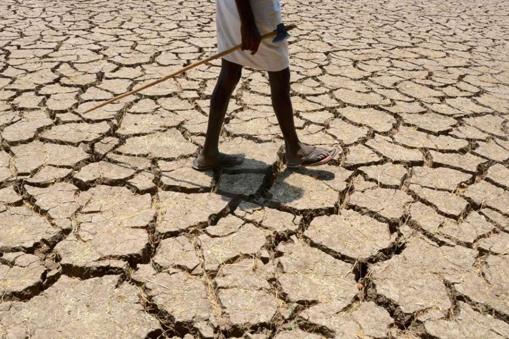 An Indian farmer posing in his dried up cotton field east of Hyderabad. Photo: AFP