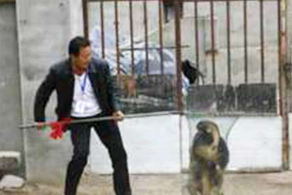 A dogcatcher pictured trying to catch a stray. Photo: Thepaper.cn