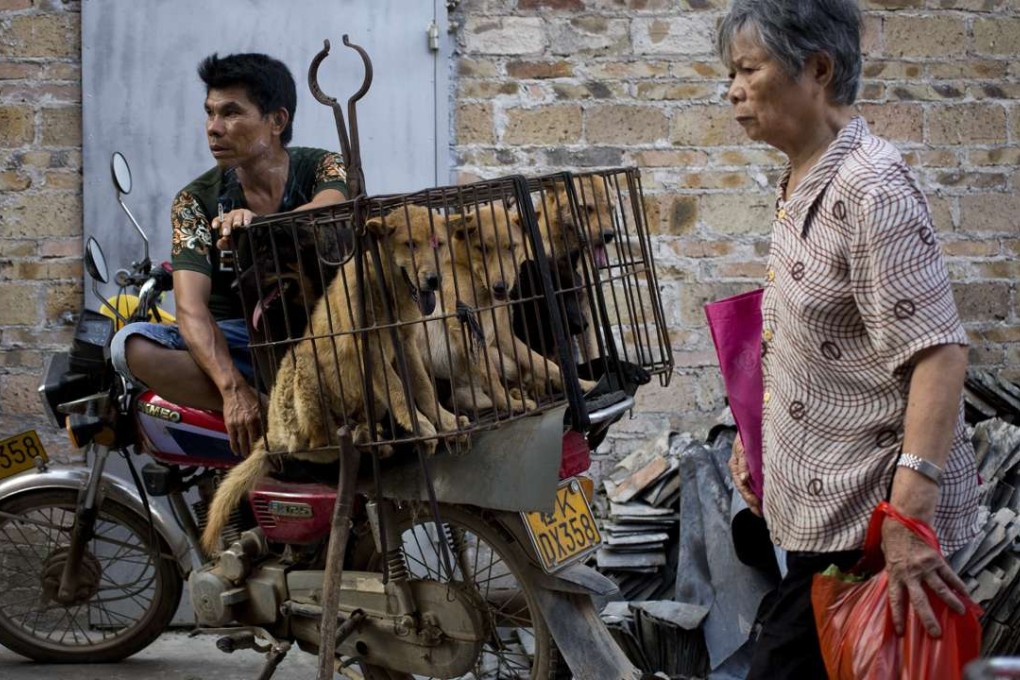 A woman walks past a dog vendor with three animals in a cage, as he waits buyers in Yulin. Photo: AP