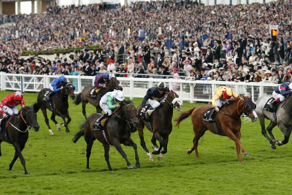 Gold-Fun (second from right) just fails to nab Twilight Son (second from left) in the Diamond Jubilee Stakes at Royal Ascot. Photo: Reuters