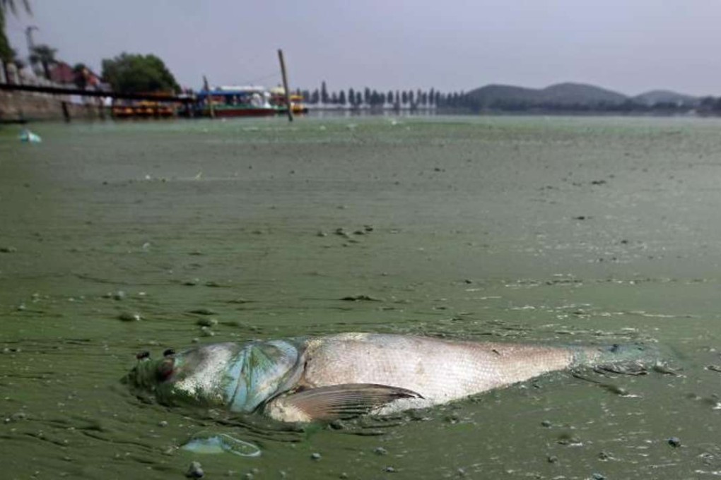 A file picture of a polluted river in Hubei province in central China. Photo: Reuters