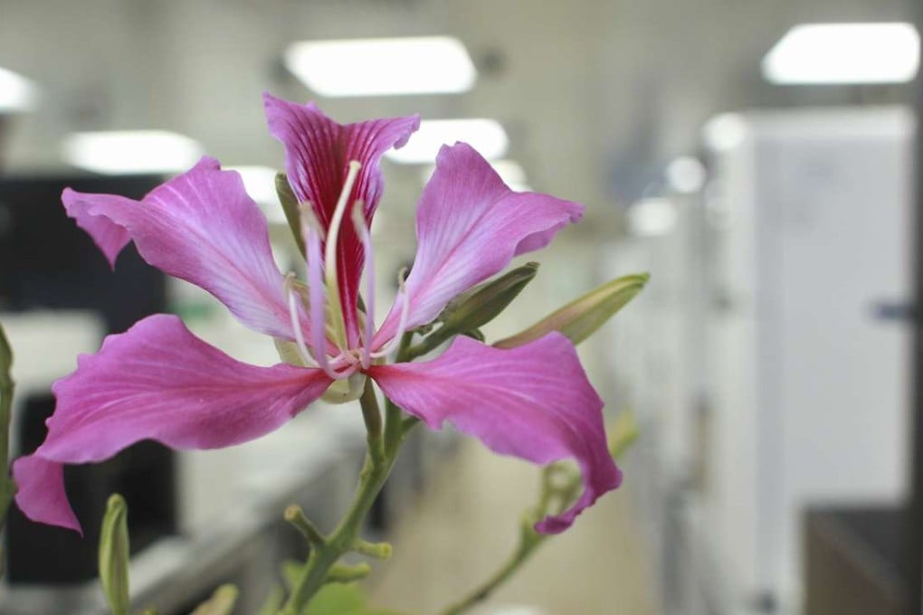 We need to refocus the retirement debate to engage with the coming era of ultra-long lifespans of 100-plus years. Photo: SCMP