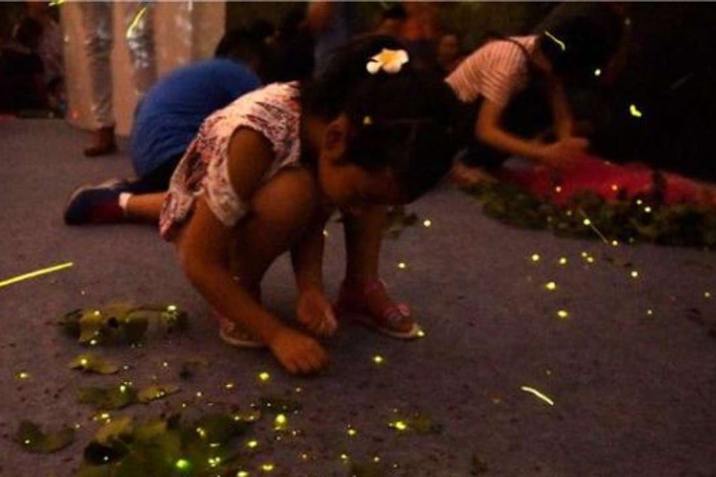 Glow-worms released at the park. Photo: Thepaper.cn