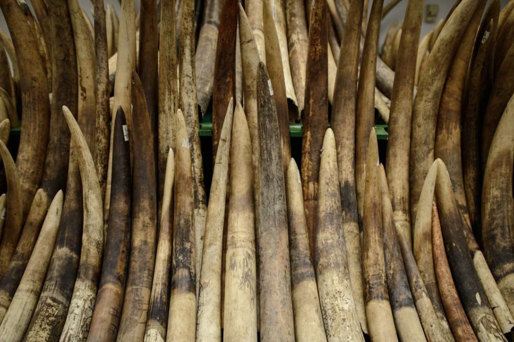 The Environment Bureau last week announced its timeline for implementing a blanket ban on all domestic trade in ivory – including legal stocks – by 2021. Photo: AFP