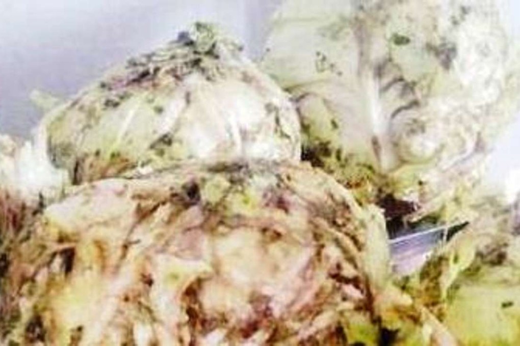 The whistle-blower posted photos online of some of the rotten vegetables sold to the school canteen. Photo: SCMP Pictures