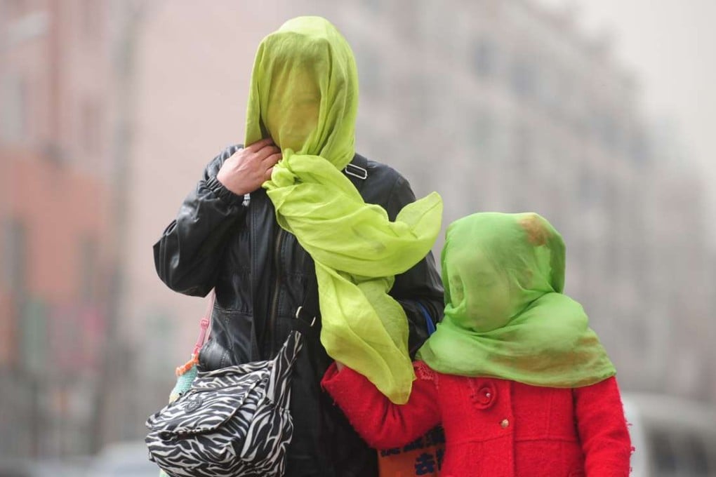 A mother and child out on the streets on a severely polluted day in Shenyang, Liaoning province. Photo: Reuters