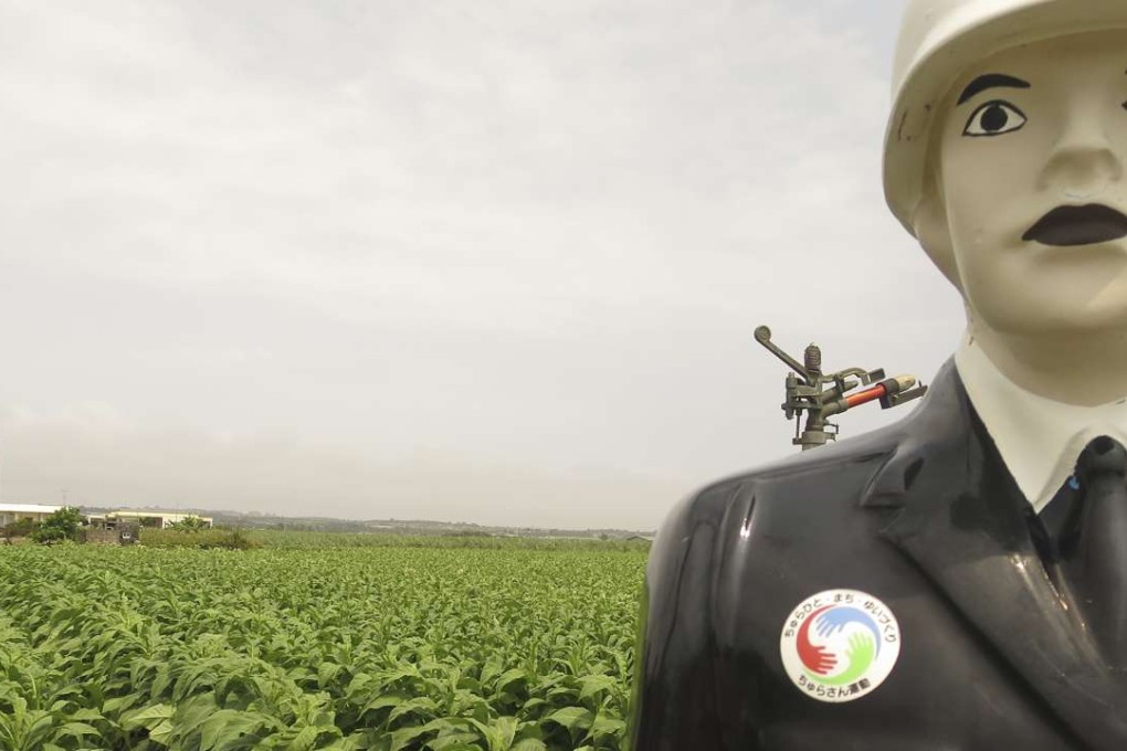 Omawari-san, a fibreglass policeman, guards tobacco plants in Miyako, Okinawa. Pictures: Cecilie Gamst Berg