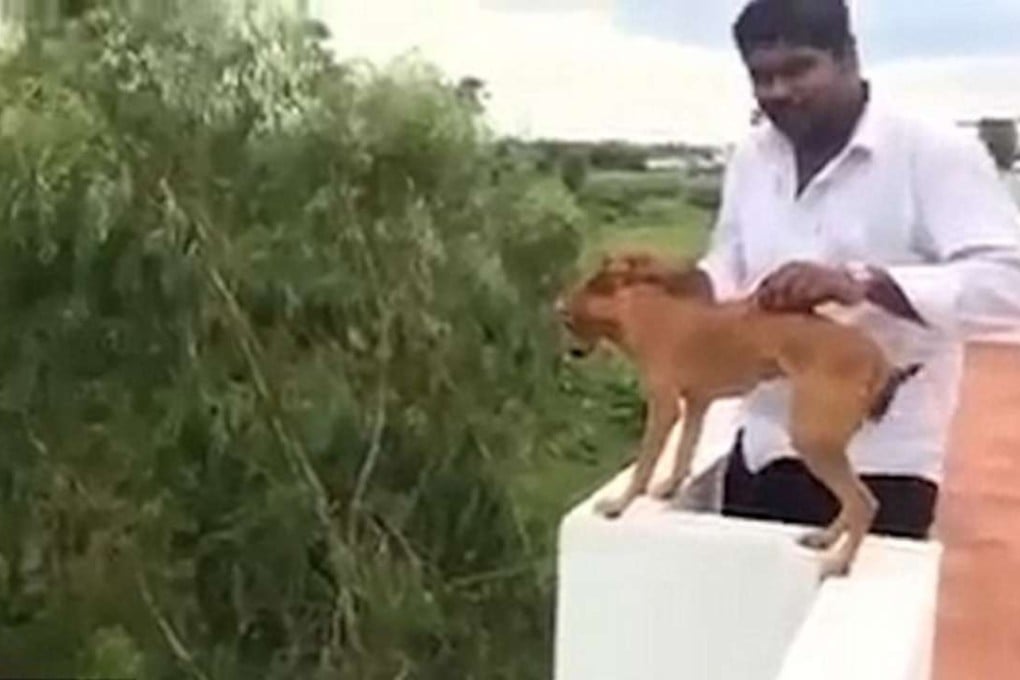 One of two medical students involved in the abuse beaming as he lifts the dog by the scruff of its neck before throwing it off the roof. Photo: YouTube