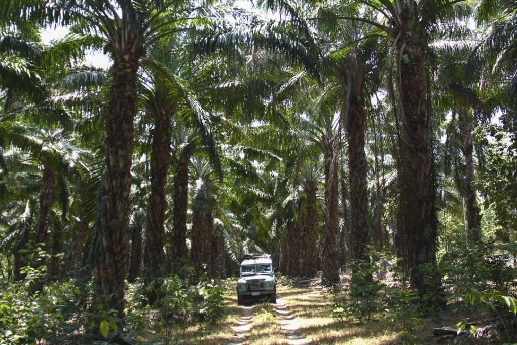 The Land Rover navigates a bone-crunching dirt road.