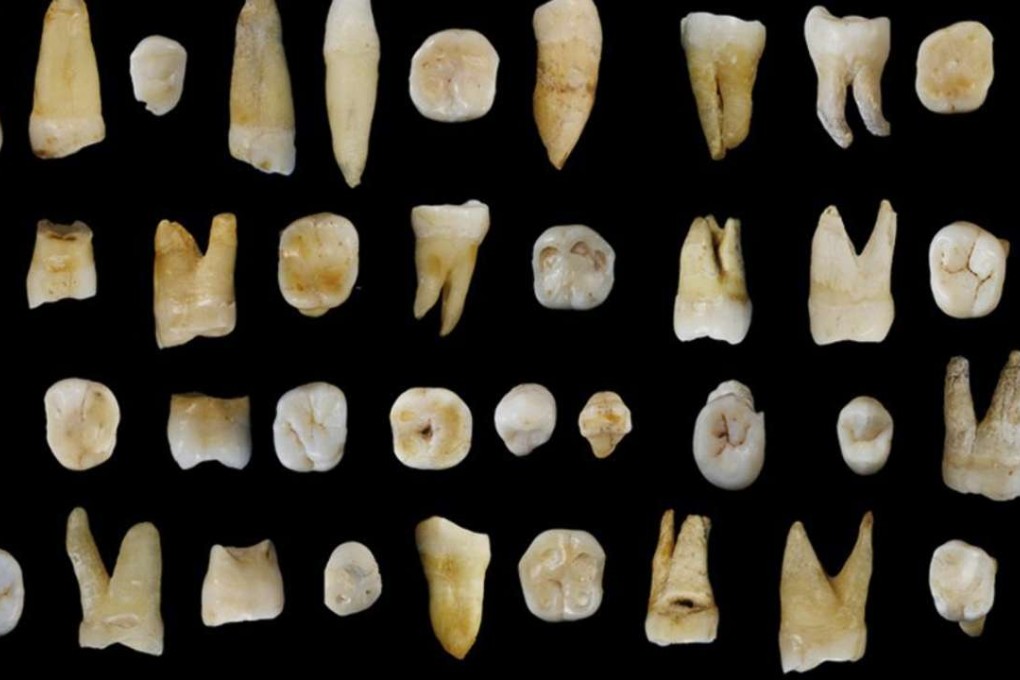 Human teeth found in Fuyan cave in Hunan province helped rewrite the history of early man. Photo: Reuters