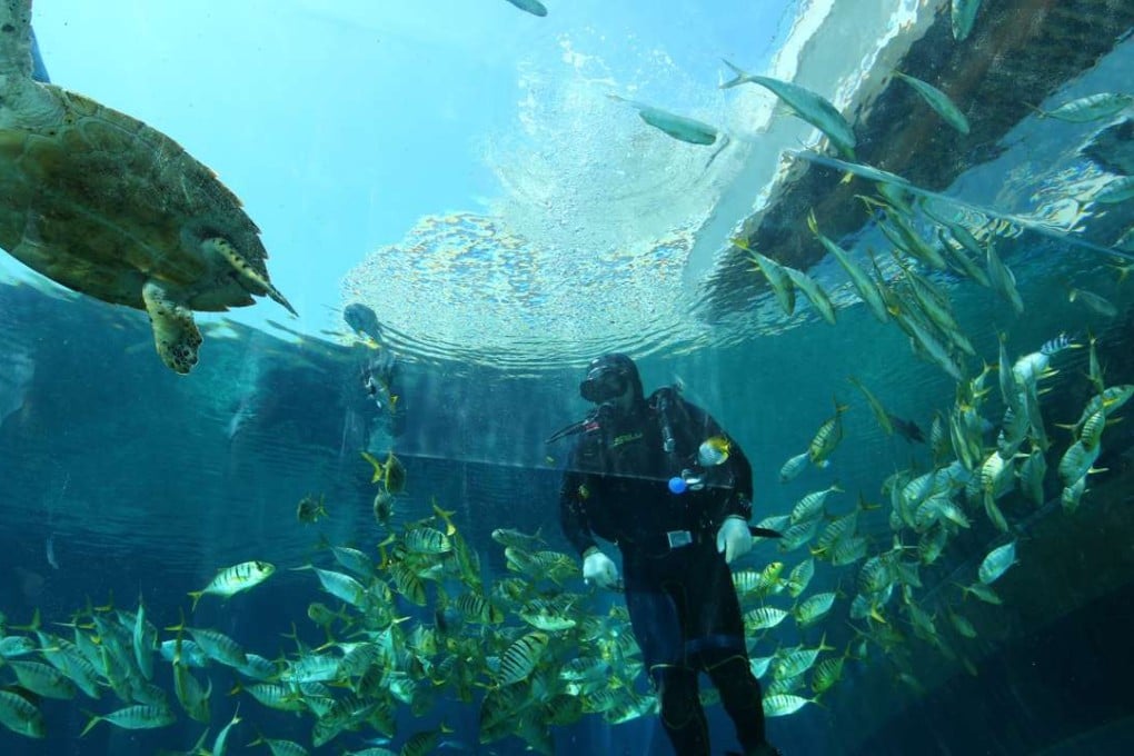 The deep-sea research in Sanya is helping protect the ecological balance of the South China Sea.