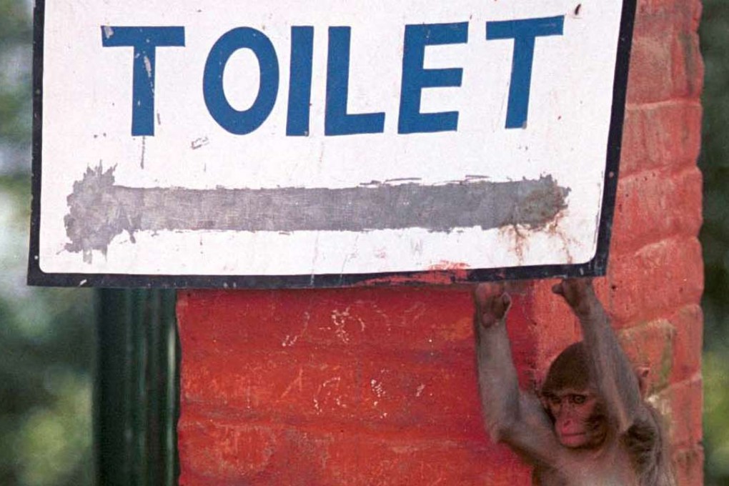 A monkey holds onto a toilet sign at the Swayambhunath Temple overlooking Katmandu. Photo: AP
