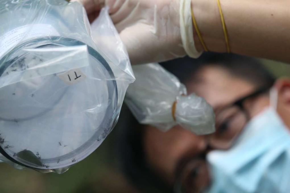 Tsoi Lap-fu, an officer from the Food and Environmental Hygiene Department, shows a mosquito-trapping device during an anti-mosquito operation in Tuen Mun. Photo: SCMP Pictures