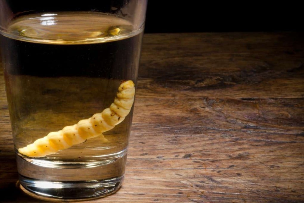 Mezcal, a Mexican spirit, contains a worm, although explanations for its presence vary. It’s best drunk with grasshoppers, the locals say.