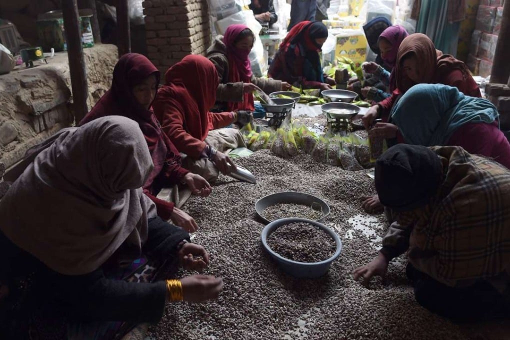 Afghan workers prepare pistachio seeds at a dried fruit factory in Kabul. Photo: AFP