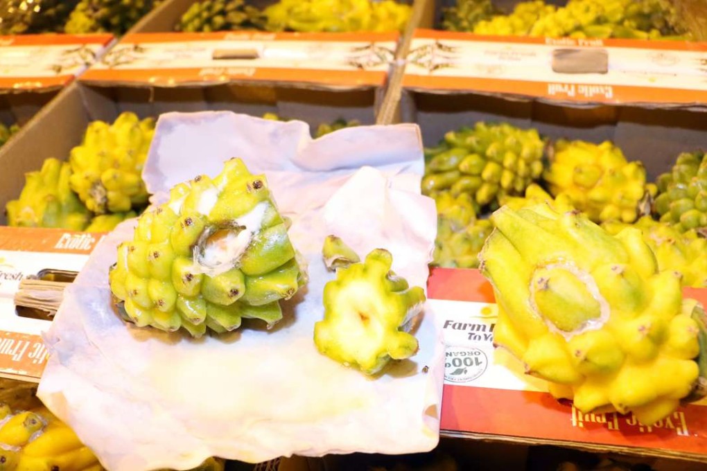 Liquid cocaine was found inside these dragon fruits. Photo: SCMP Pictures