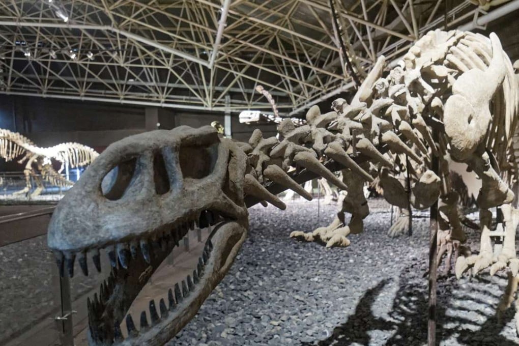 An exhibit at the Lufeng Dinosaur Museum, Yunnan province. Photos: Martin Williams