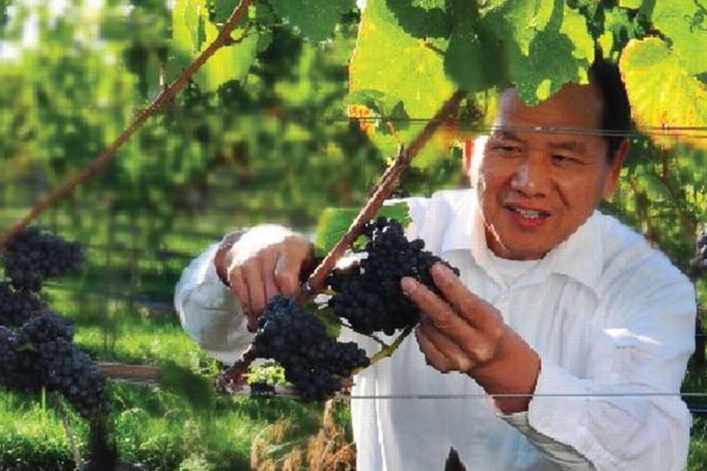 Lulu Island Winery owner John Chang was a successful electronics businessman in Taiwan before he immigrated to Canada in 1995. Photo: Lulu Island Winery