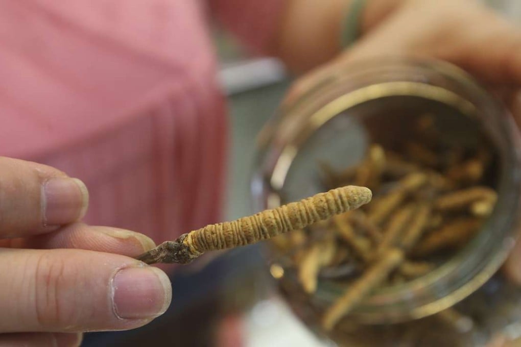 Caterpillar fungus on sale at Top Century Medicines Pharmacy in Tsim Sha Tsui. Photo: David Wong
