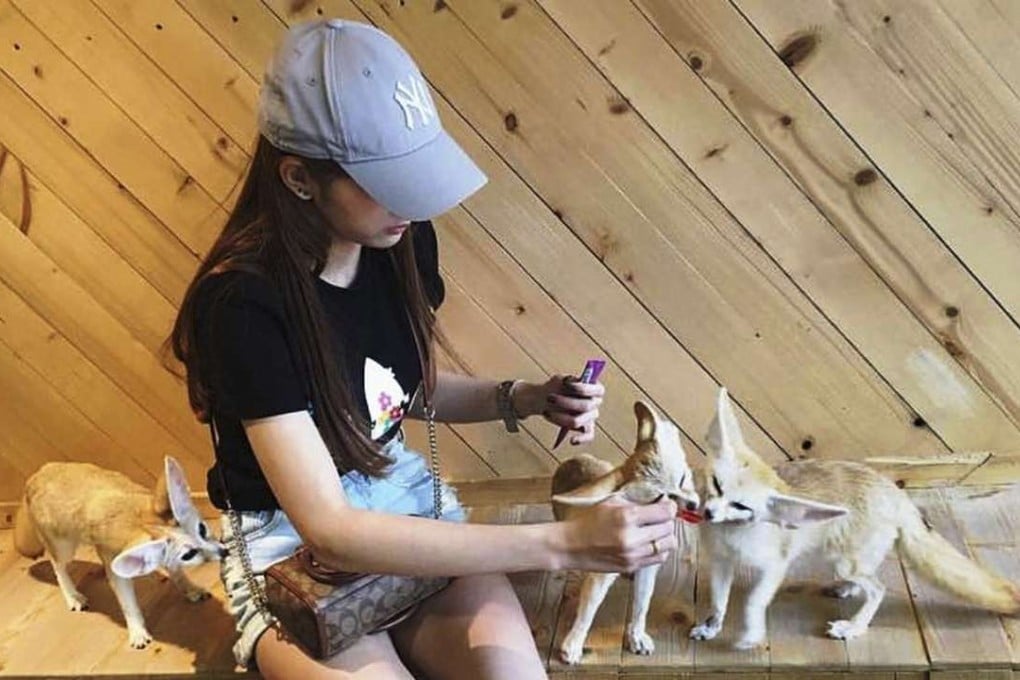 A woman feeding fennec foxes at Little Zoo Cafe in Bangkok. Photos: Tibor Krausz