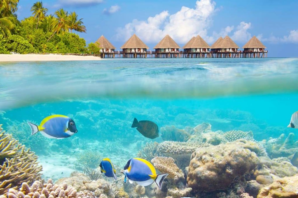 Pictures: Alamy; AFP